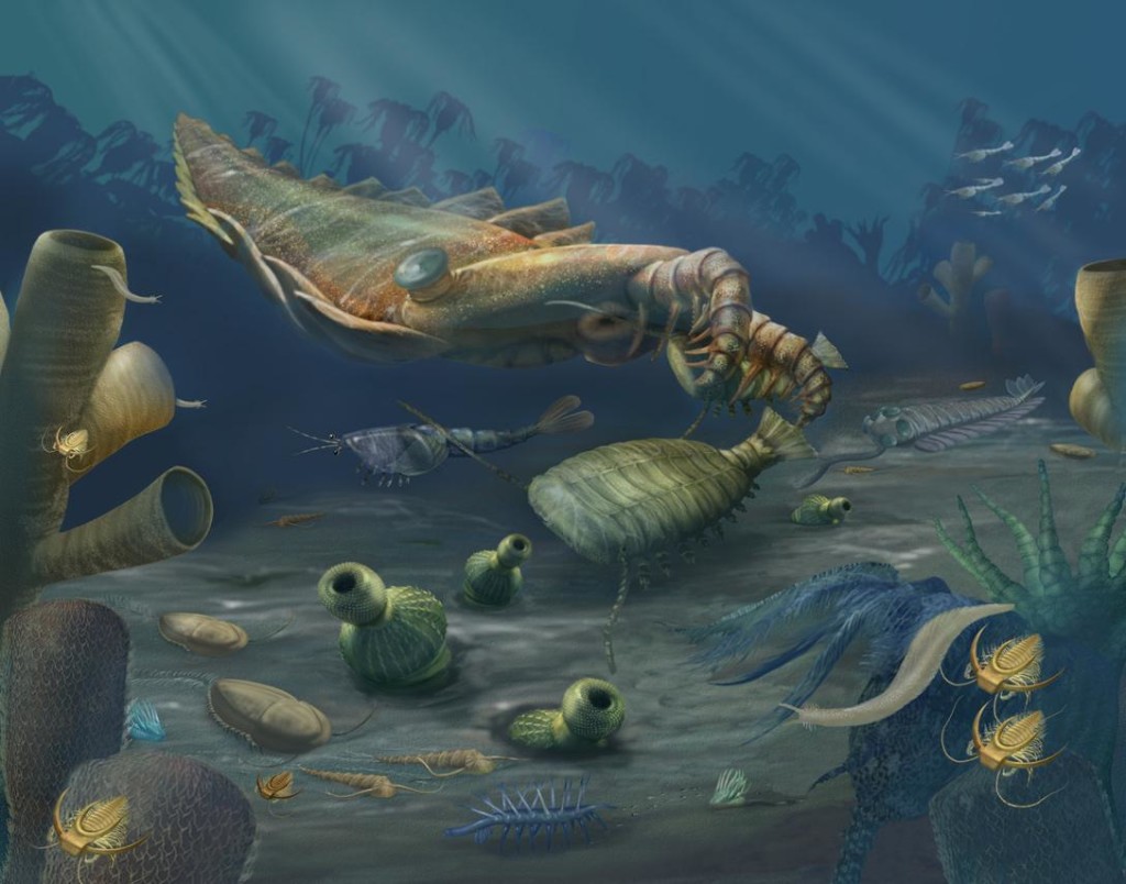 Creatures of the early Paleozoic | Lucky Sci