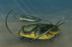 Creatures of the early Paleozoic | Lucky Sci